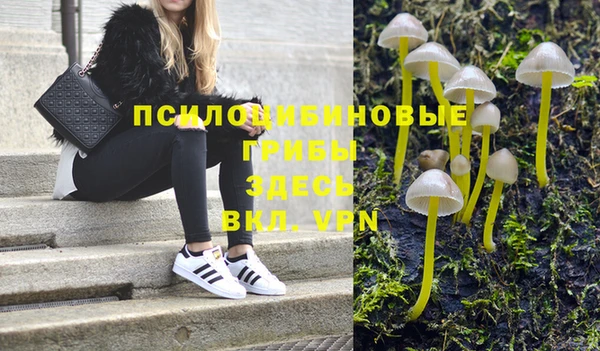 эйфоретик Алексин