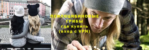 эйфоретик Алексин