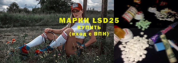 ГАЛЛЮЦИНОГЕННЫЕ ГРИБЫ Переславль-Залесский