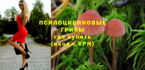 эйфоретик Алексин